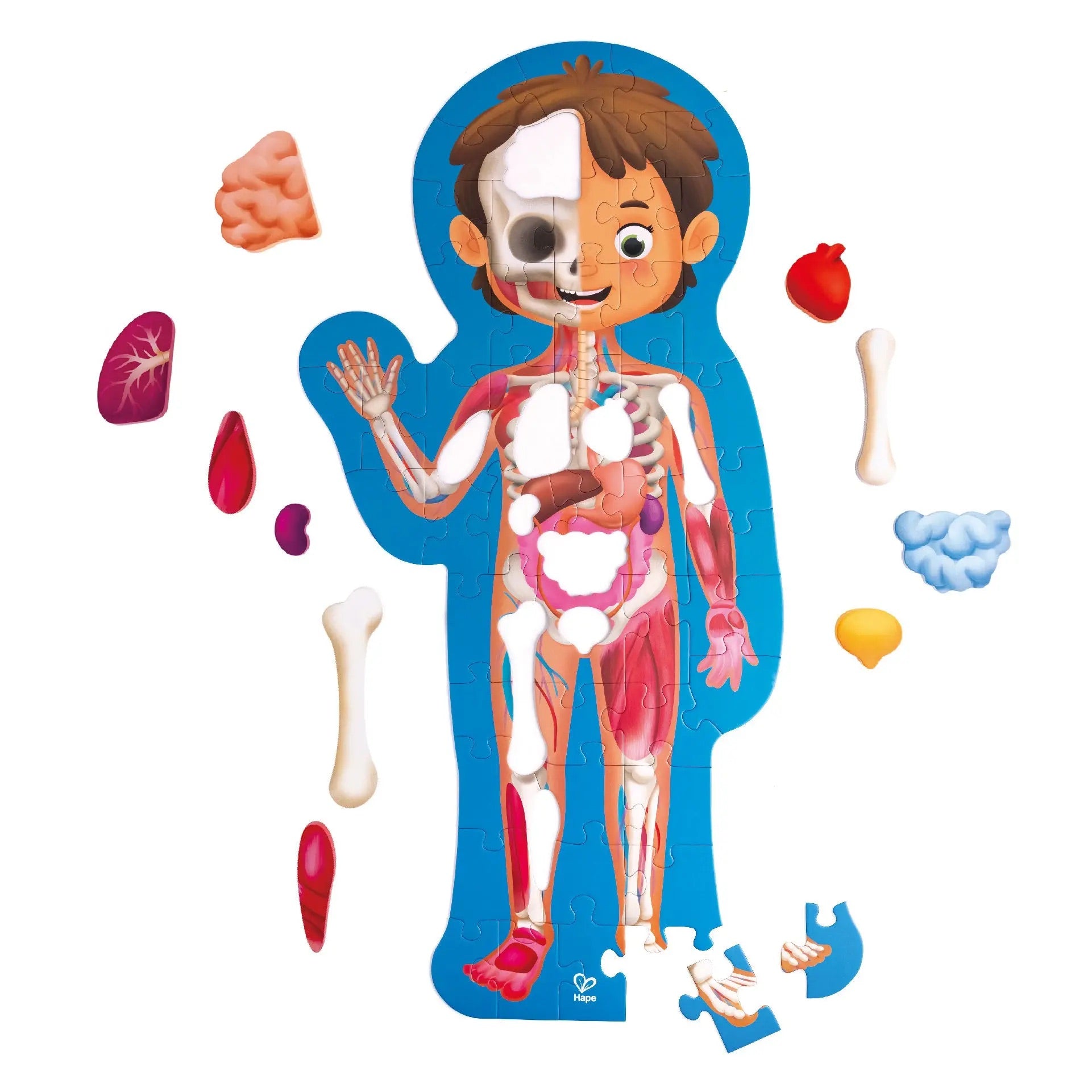 Human Body Puzzle by Hape #E16535