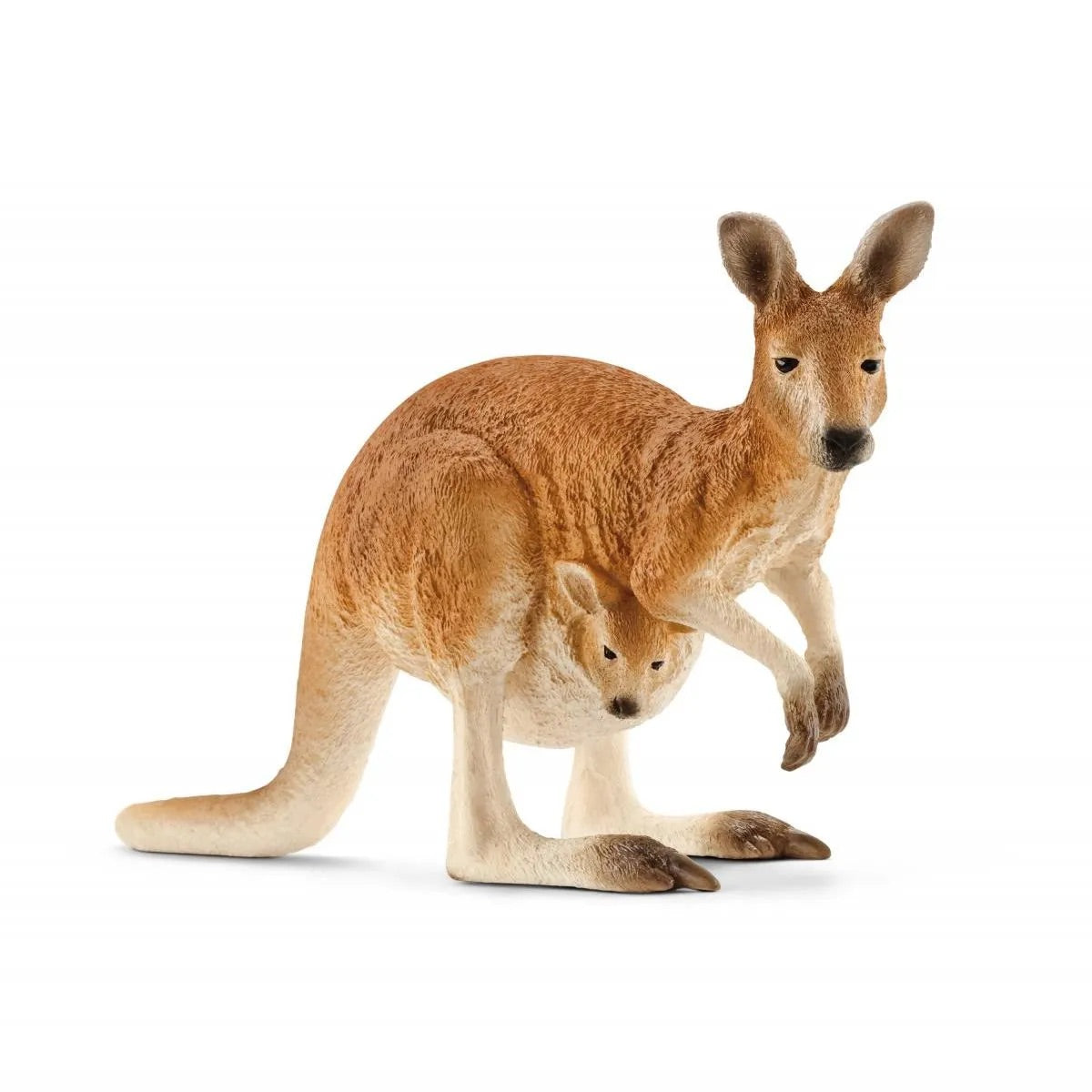 Kangaroo by Schleich #14756