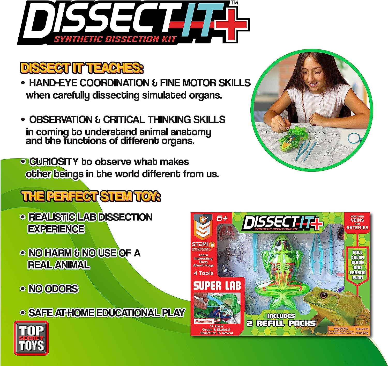 Dissect-It Super Frog Lab by Tangle Creations #TST-1085
