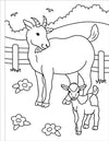 My First Coloring Book! On The Farm by Peter Pauper Press #339911