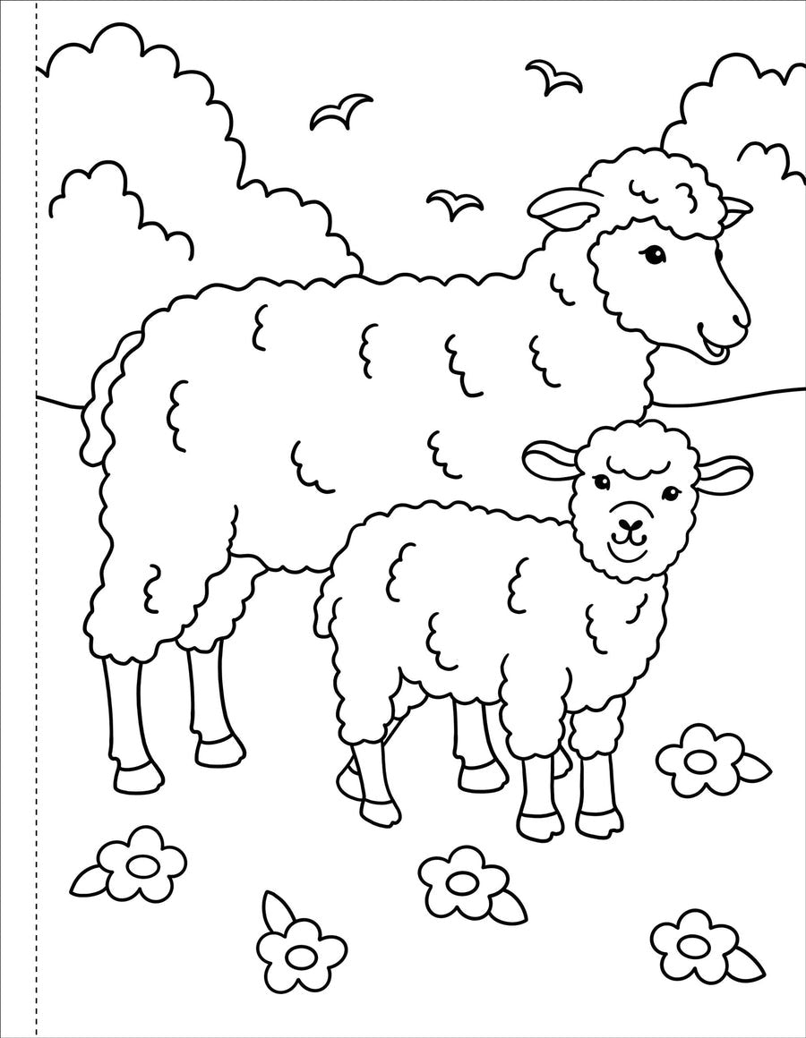My First Coloring Book! On The Farm by Peter Pauper Press #339911