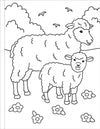My First Coloring Book! On The Farm by Peter Pauper Press #339911