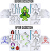 Dissect-It Super Frog Lab by Top Secret Toys #TST-1085