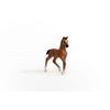 Oldenburger Foal Figurine by Schleich #13947
