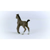 Cheval de Selle Francois Foal by Schleich #13957