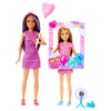 Barbie Celebration Fun Dolls And Accessories