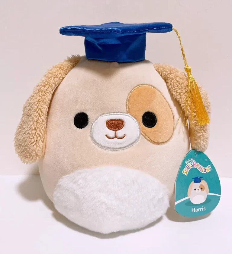 8” Graduation Squishmallow Harris the Dog