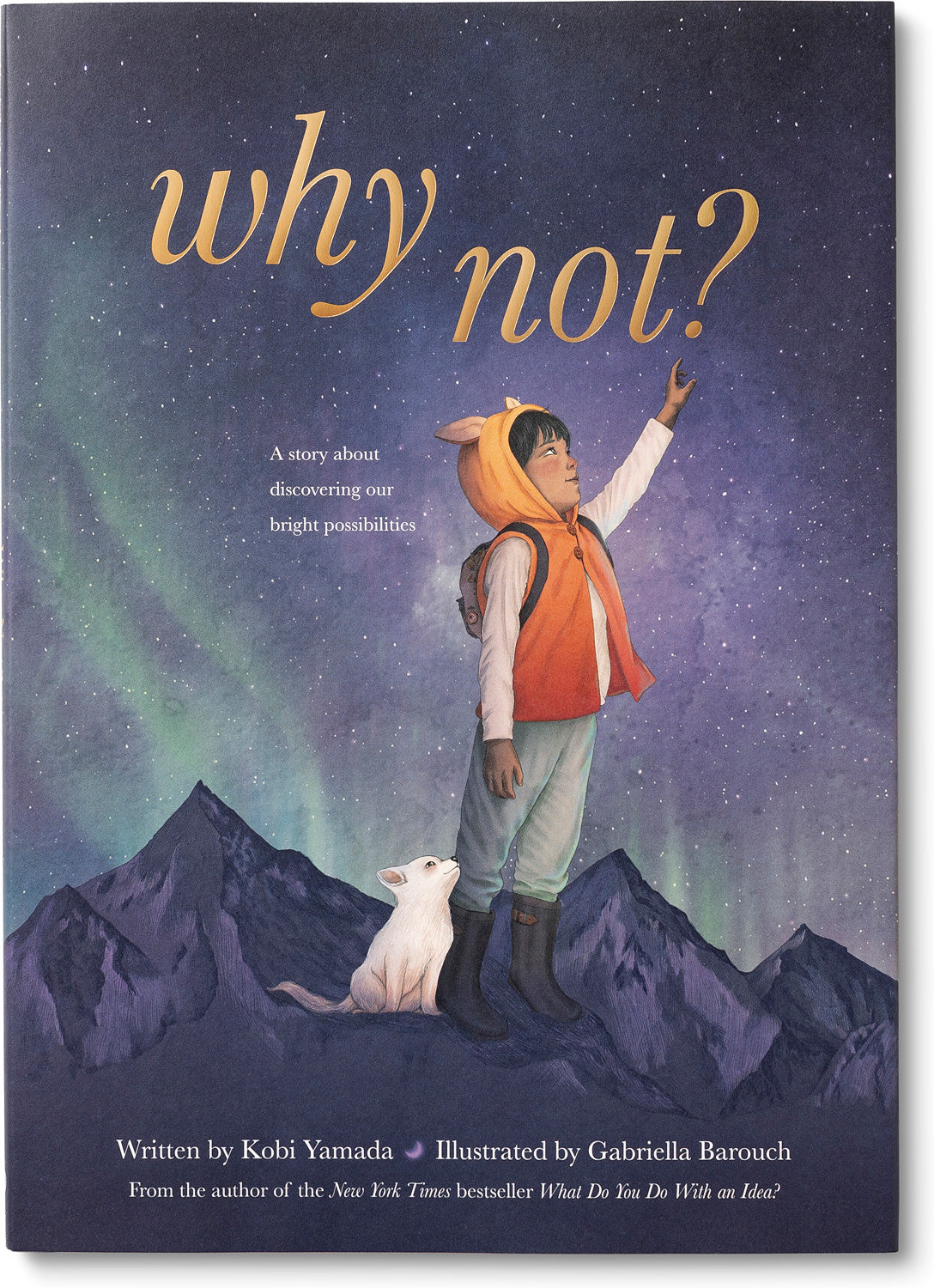 “Why Not?” Hardcover Book by Compendium