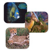 View-Master Classic by Schylling