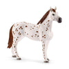 Horse Club Lisa’s Tournament Training by Schleich #42433