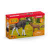 Moose Family by Schleich #42629