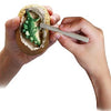 Dig It Dinosaur Egg by Thames & Kosmos #601509