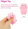 Assorted Mochi Fidget Toy