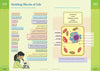 Brain Quest Workbook Grade 6 By Workman Publishing