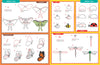 Learn To Draw Everything by Peter Pauper Press #340511