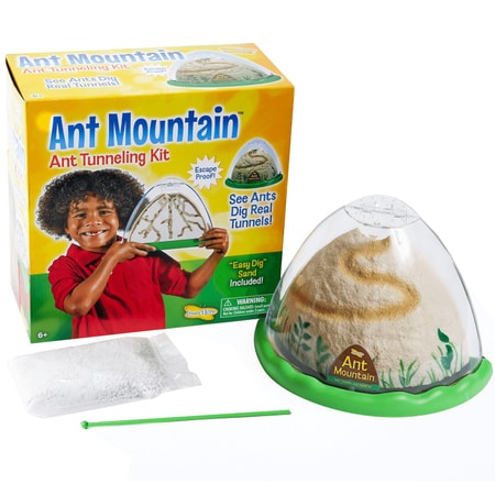 Ant Mountain by Insect Lore