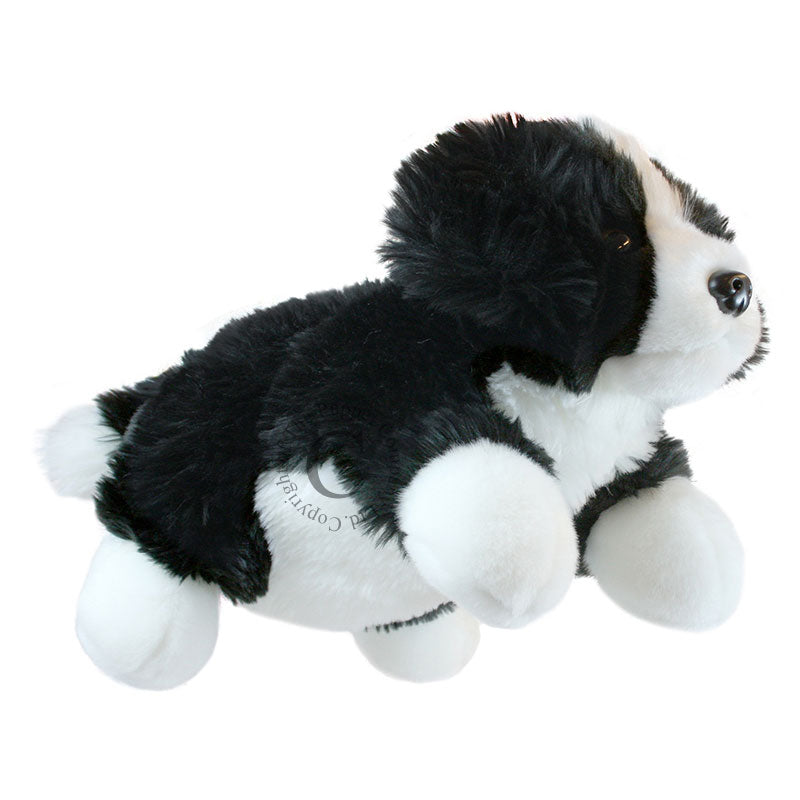Border Collie Full Bodied Puppet by The Puppet Company #PC001802