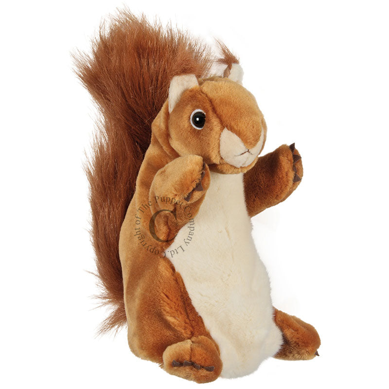 Squirrel Long Sleeved Hand Puppet by The Puppet Company #PC006047