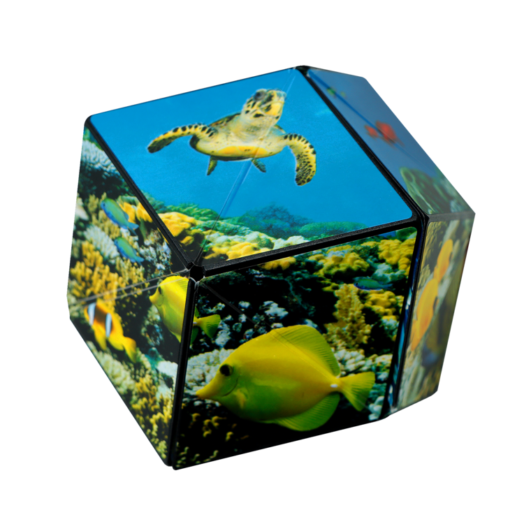 Shashibo Shape Shifting Fidget Box Undersea #SHA013US