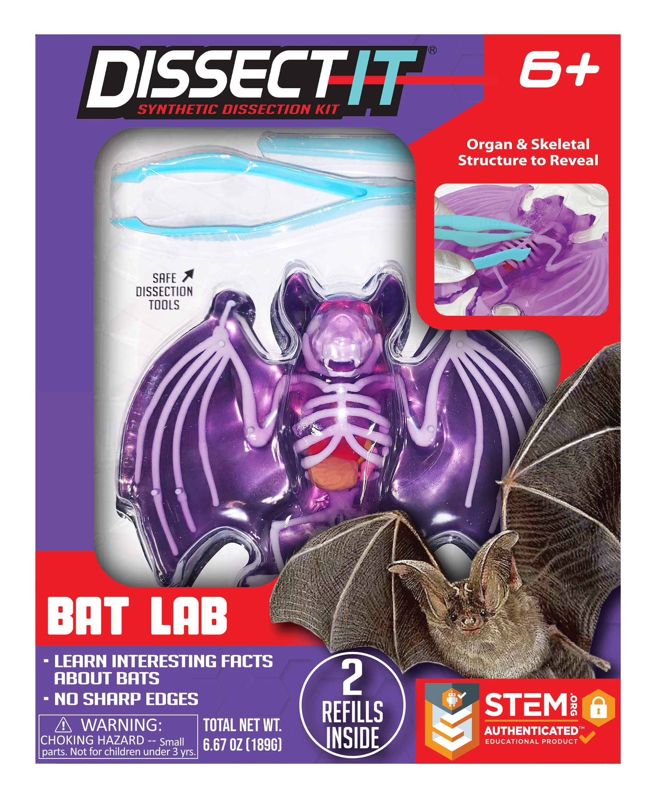 Dissect-It Bat Lab by Top Secret Toys #TST-1084