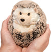 Spunky Hedgehog by Douglas #4101