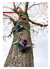 Slackers Tree Climber by B4Adventures