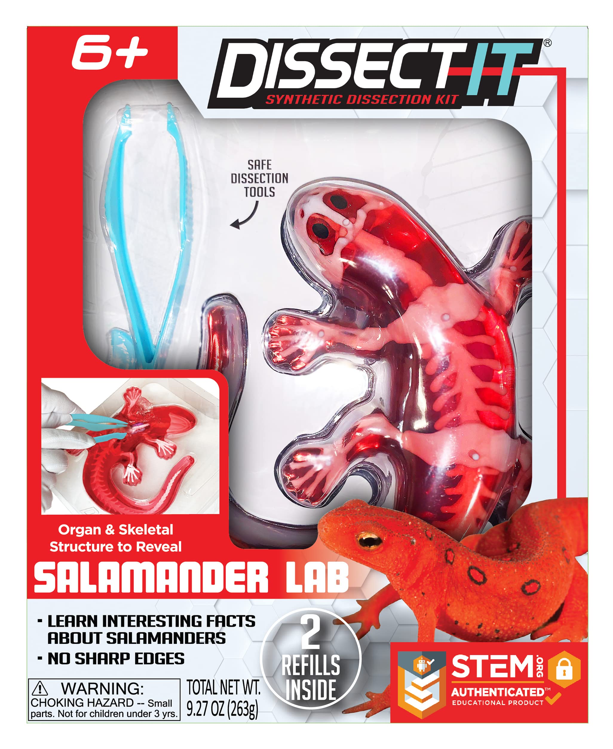 Dissect-It Salamander Lab by Tangle Creations #TST-1067