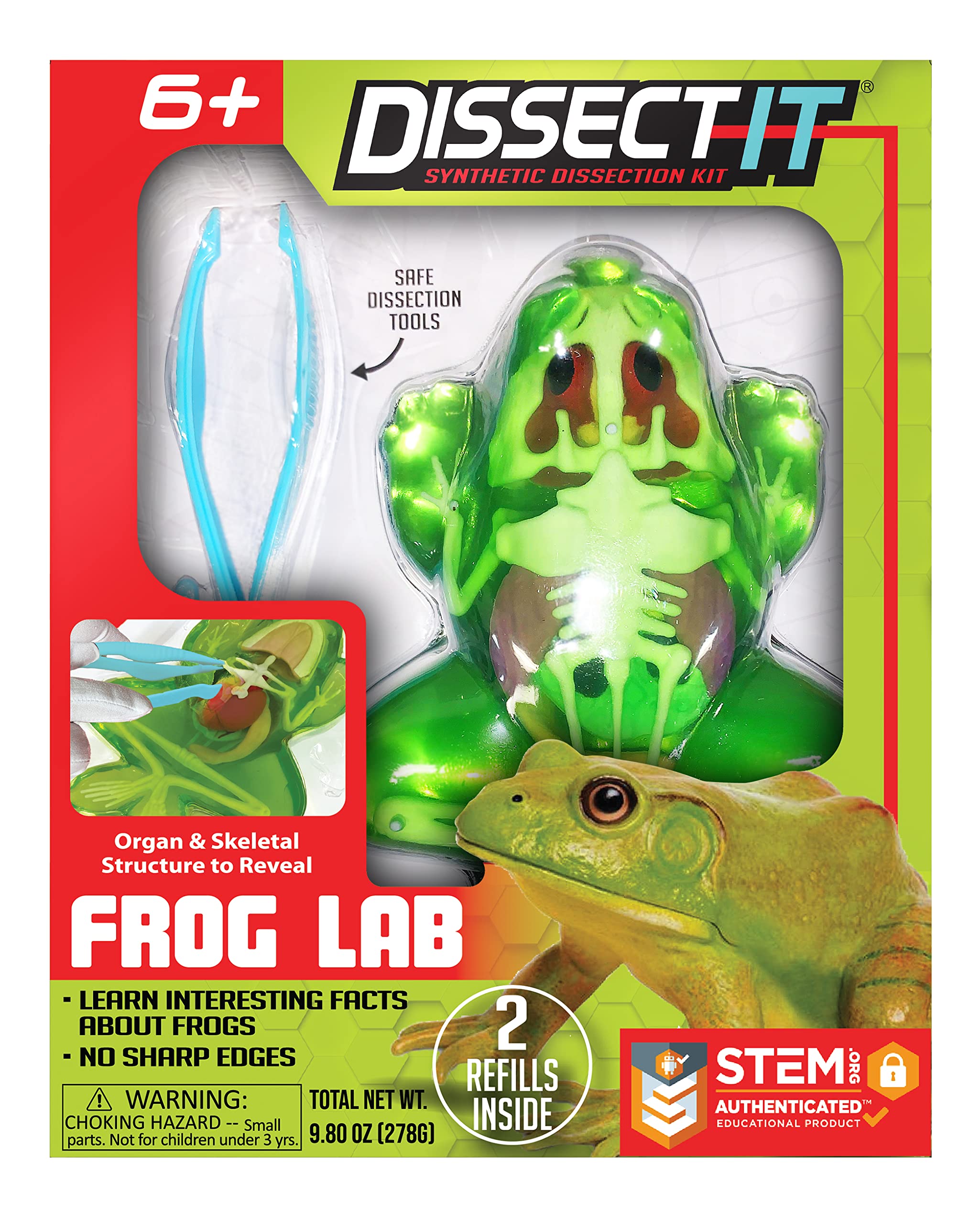 Dissect-It Frog Lab by Tangle Creations #TST-1060