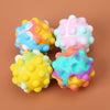 Pop It Fidget Ball