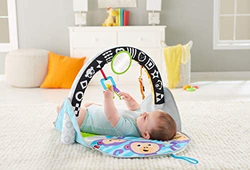 2 in 1 Flip & Fun Activity Center by Fisher Price