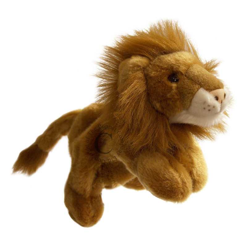Lion Full-Bodied Puppet by The Puppet Company #PC001809