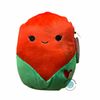 Walsh The Rose 8”Valentine’s Squishmallow