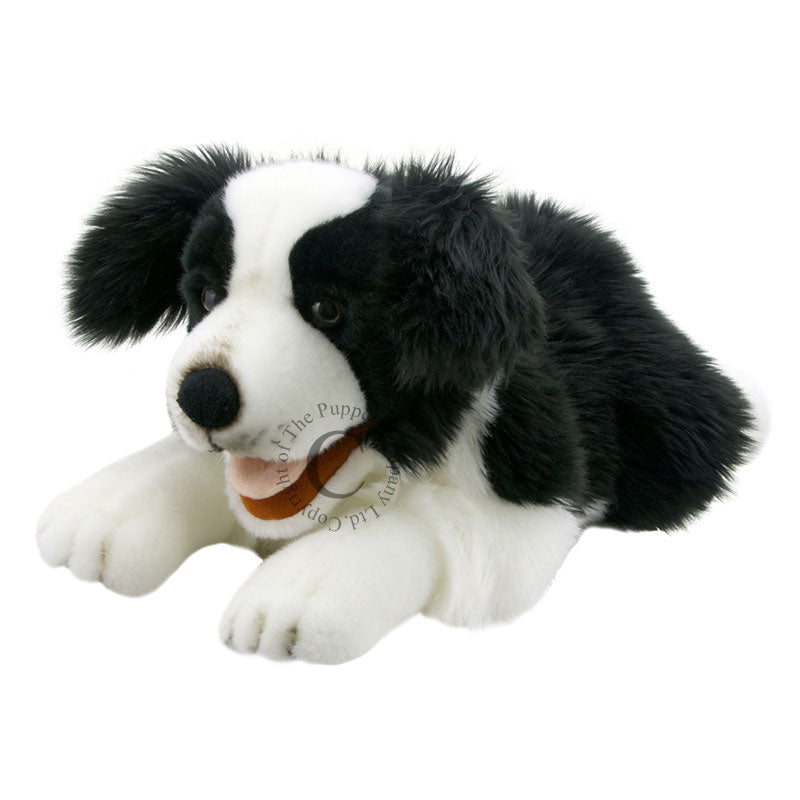 Large Border Collie Puppet by The Puppet Company #PC003007