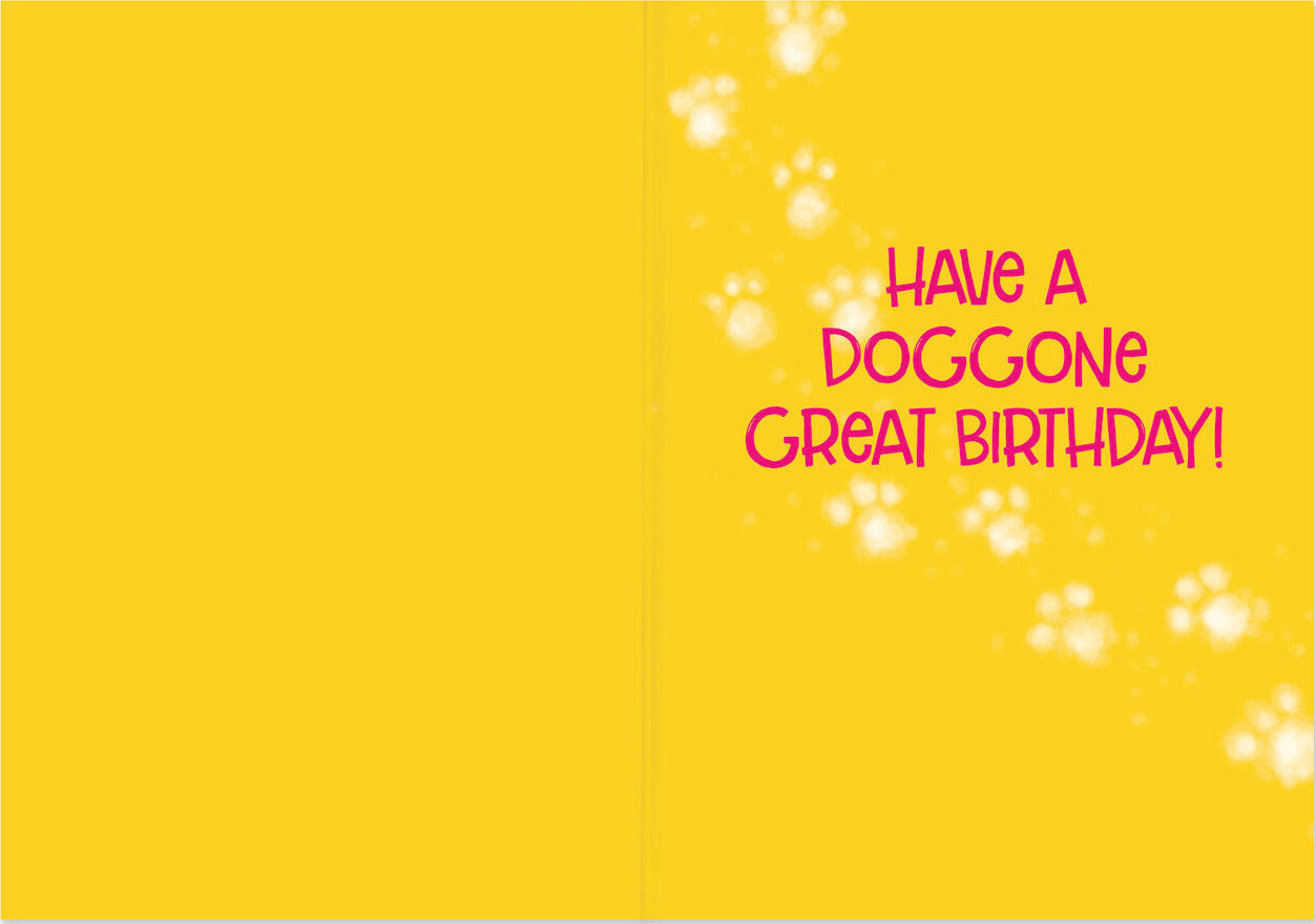 Bulldog with Googly Eyes Birthday Card by Peaceable Kingdom
