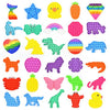 Pop It Fidget Assortment