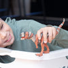 Majungasaurus by Schleich #15032