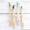 Bamboo Toothbrush Blue Red by Ola Bamboo